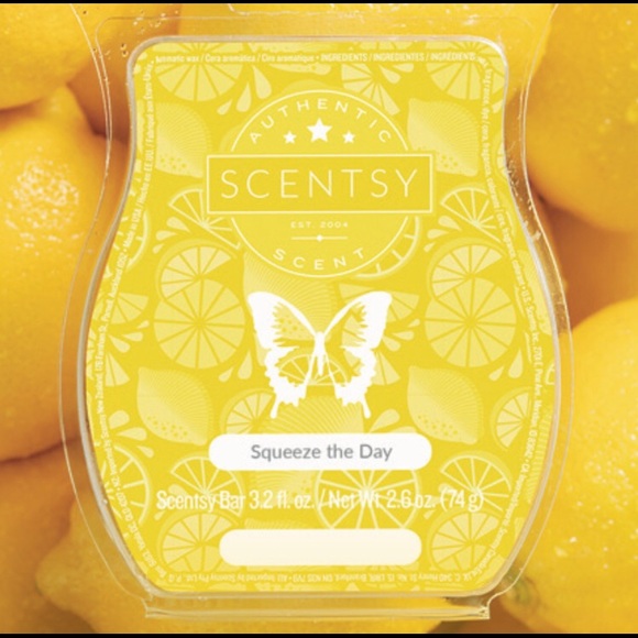 Scentsy Other - Scentsy June Scent of the Month “SQUEEZE THE DAY”